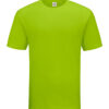 RC01-11 Apple Green - Tubular Round Neck - Classic Cotton 160gsm